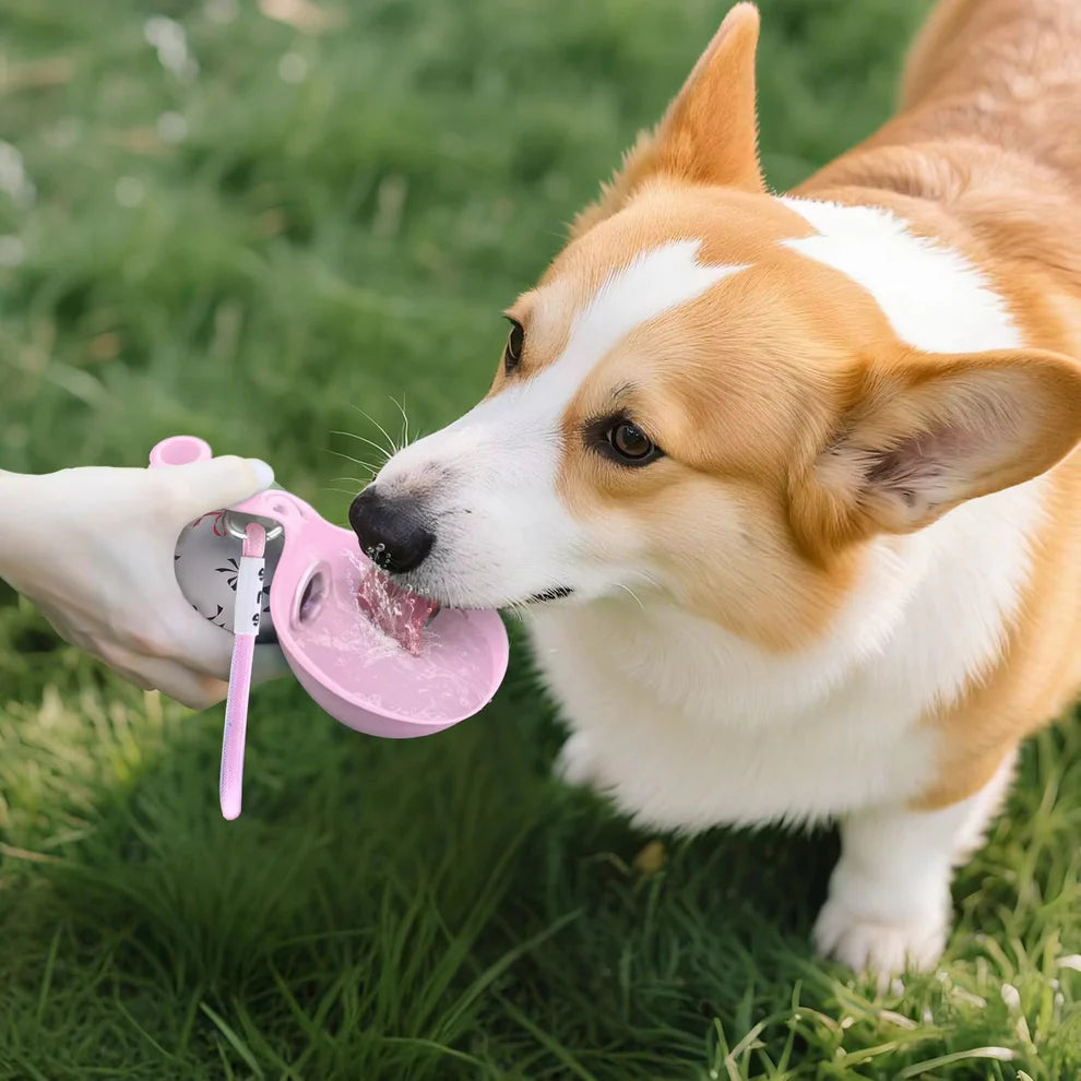 Portable Dog Drinker 2-in-1