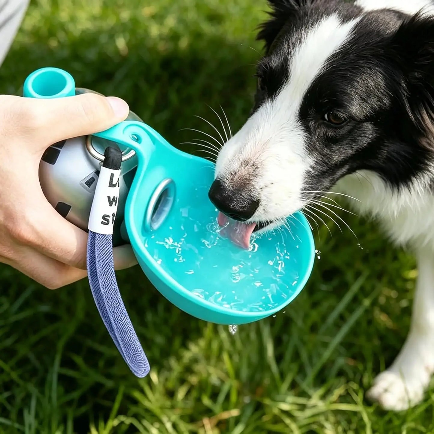 2-in-1 Portable Dog Water Bottle for Small Dogs - Leak-Proof & Compact Dog Travel Water Bottle -Stainless Steel Bottle & Silicon